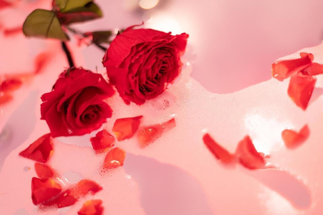 Romanticky Wellness Suite Hotel Heinz Dobris Ngoại thất bức ảnh